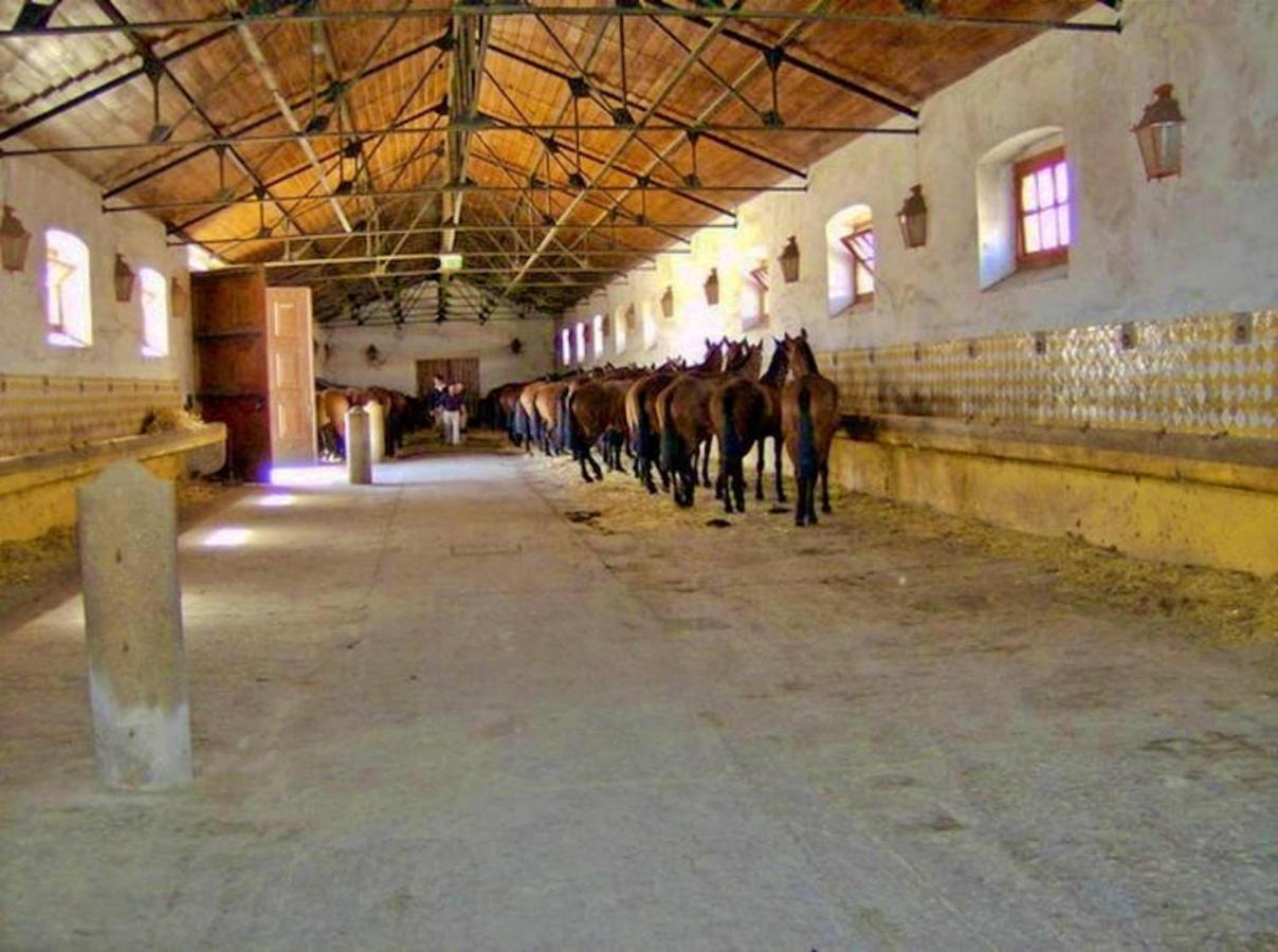 6 Persoons Vakantiewoning Portugal - Casa Do Balao - En - Casa Pequeno Pintor Figueira e Barros Kültér fotó