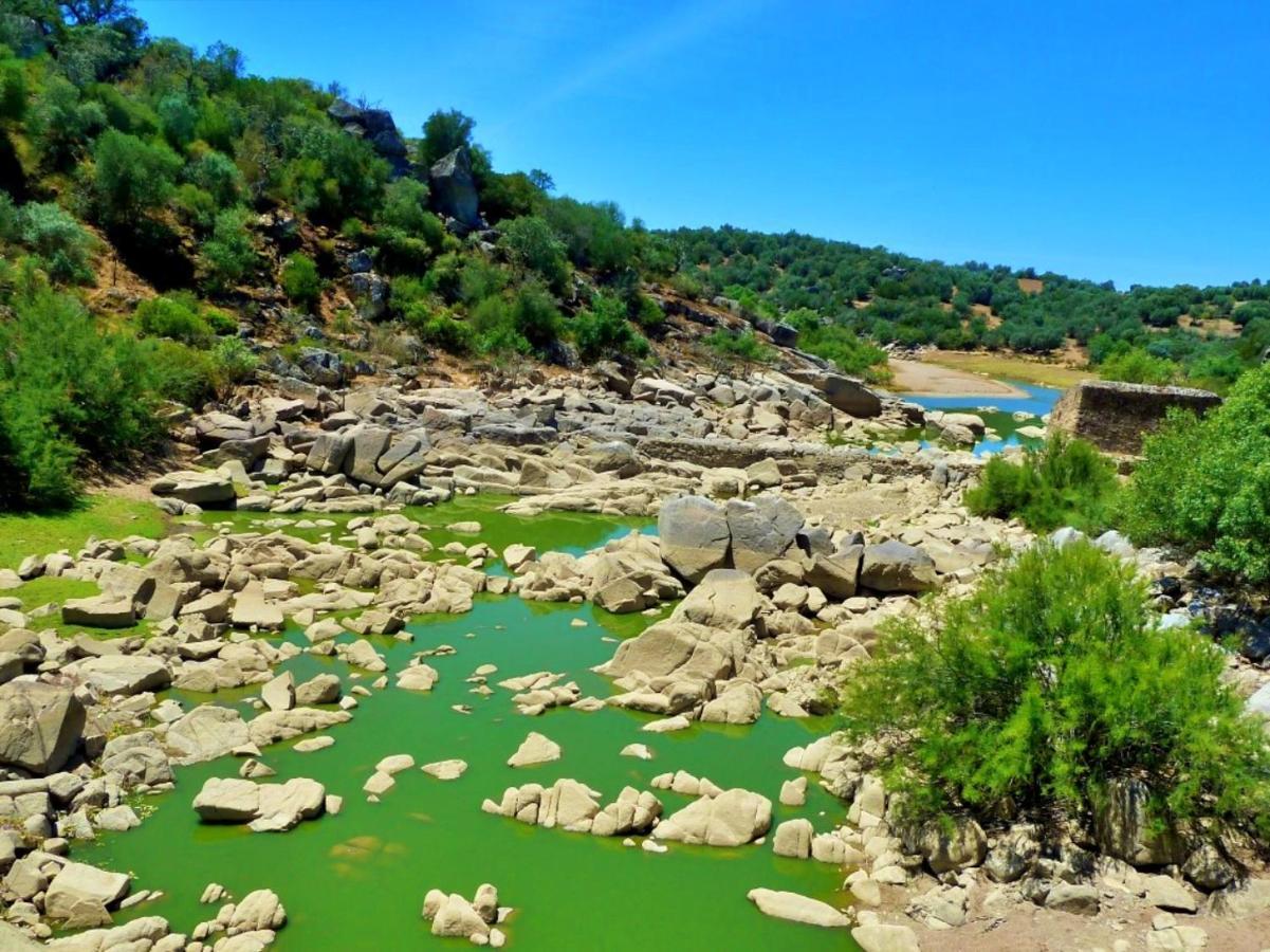 6 Persoons Vakantiewoning Portugal - Casa Do Balao - En - Casa Pequeno Pintor Figueira e Barros Kültér fotó
